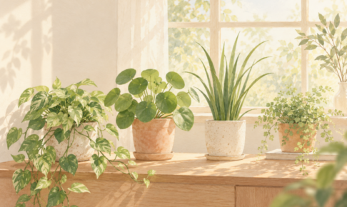 窓辺の光の中でそれぞれ異なる葉を伸ばす植物たち